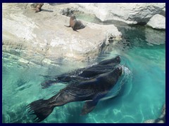 L'Oceanogràfic Oceanarium 129